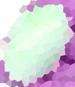 Picture for category Test Category